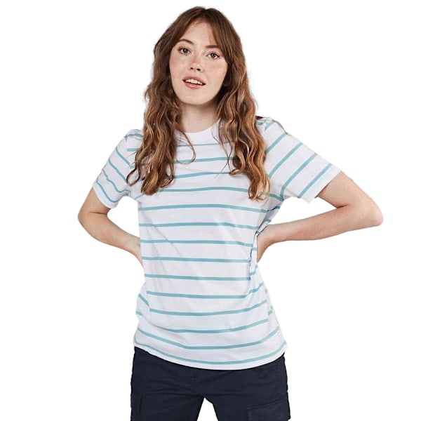 Front Row Unisex Vuxen Randig T-shirt XS Vit/Äggblå White/Duck Egg Blue XS