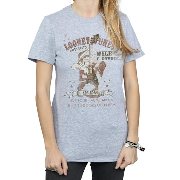 Looney Tunes Dam/Damer Wile E Coyote Gitarr Bomull Pojkvän Sports Grey 3XL