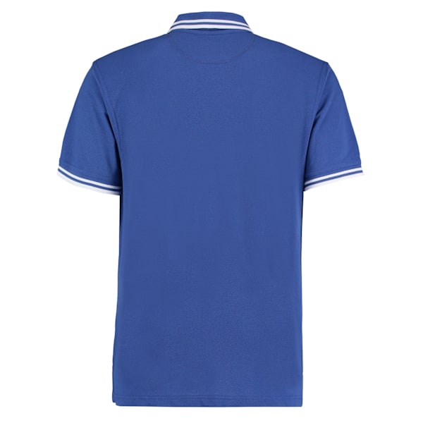 Kustom Kit Herr Tipped Bomull Pique Poloshirt XXL Royal Blue/W Royal Blue/White XXL