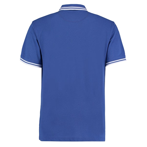 Kustom Kit Herr Tipped Bomull Pique Poloshirt XXL Royal Blue/W Royal Blue/White XXL