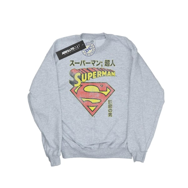 DC Comics Herr Superman Shield Sweatshirt L Sports Grey Sports Grey L