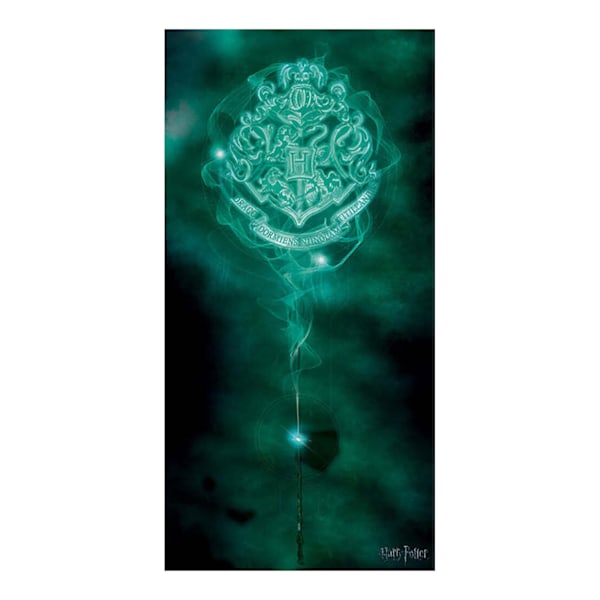 Harry Potter Patronus Hogwarts Crest Canvas Print 100cm x 50cm Green 100cm x 50cm