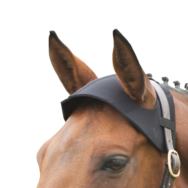 Hy Poll Guard Cob/Full Svart Black Cob/Full
