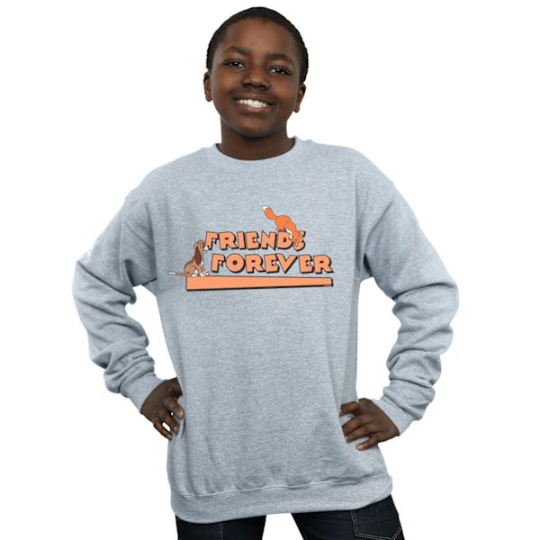 Disney Boys Little Friends Forever Sweatshirt 5-6 år Sport Sports Grey 5-6 Years
