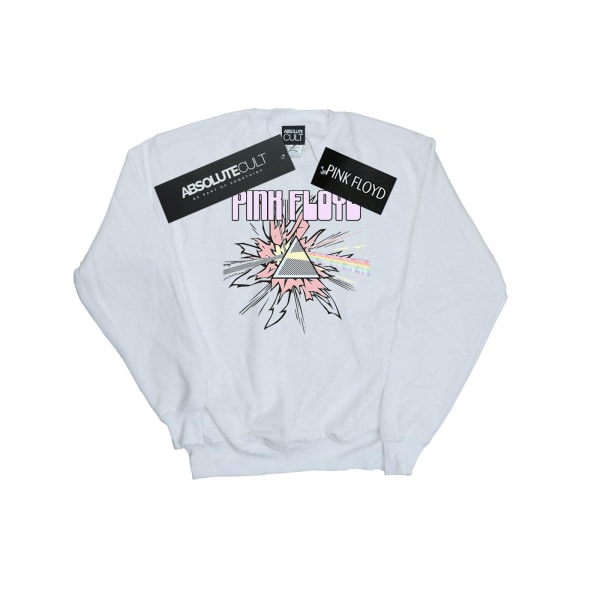 Pink Floyd Herr Pastel Triangle Sweatshirt 5XL Vit White 5XL