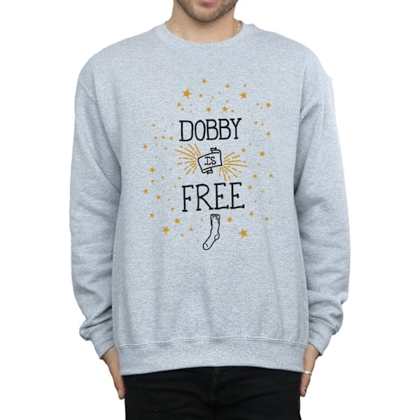 Harry Potter Herr Dobby Är Sweatshirt M Sports Grey Sports Grey M