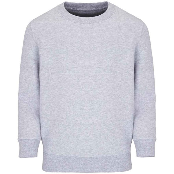 SOLS Barn/Barn Columbia Marl Sweatshirt 12 År Grå Grey 12 Years