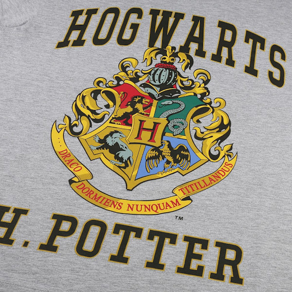 Harry Potter Dam/Dam Hogwarts Lång Pyjamas Set L Blå/Vit Blue/White L