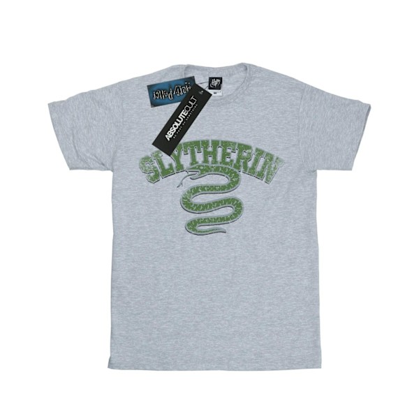Harry Potter Herr Slytherin Sport Emblem T-Shirt M Sports Grey Sports Grey M