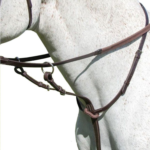 Avignon Läder Häst Running Martingale Ponny Havanna Havana Pony
