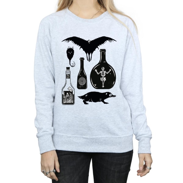Fantastic Beasts Dam/Ladies Plain Icons Sweatshirt L Heather Heather Grey L