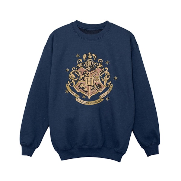 Harry Potter Pojkar Guld Hogwart Crest Sweatshirt 9-11 År Marinblå Navy Blue 9-11 Years