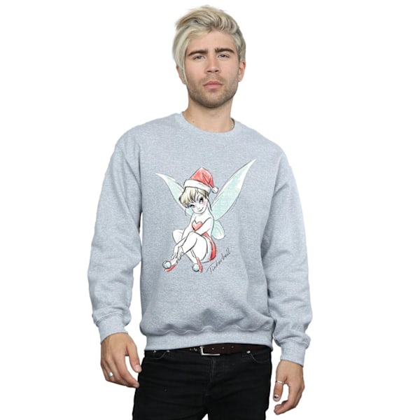 Disney Mens Tinkerbell Jul Fe Sweatshirt L Sports Grey Sports Grey L