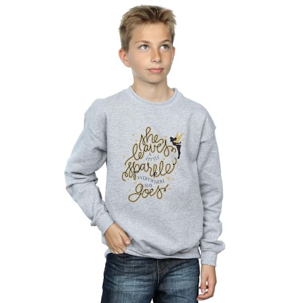Disney Boys Tinkerbell Stars Sweatshirt 9-11 år Sports Grey Sports Grey 9-11 Years