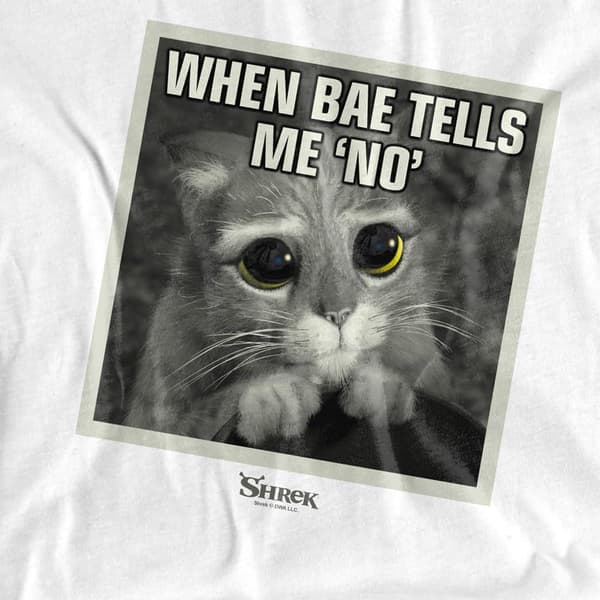 Shrek Herr Insta Mästerkatten Meme T-Shirt 3XL Vit White 3XL