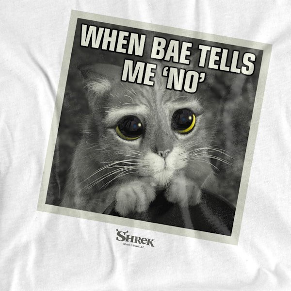 Shrek Herr Insta Mästerkatten Meme T-Shirt L Vit White L