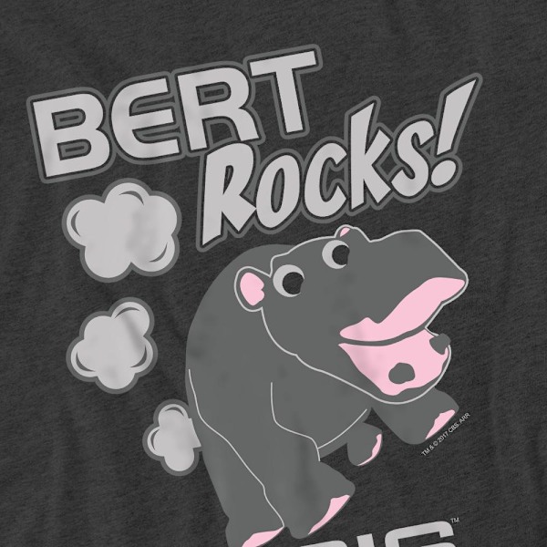 NCIS Unisex Vuxen Bert Rocks T-Shirt XL Charcoal Charcoal XL