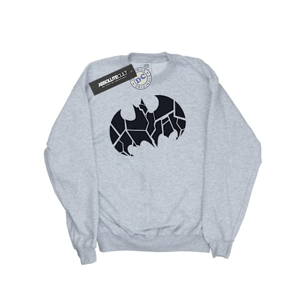 DC Comics Pojkar Batman Enfärgad Sköld Sweatshirt 9-11 År S Sports Grey 9-11 Years