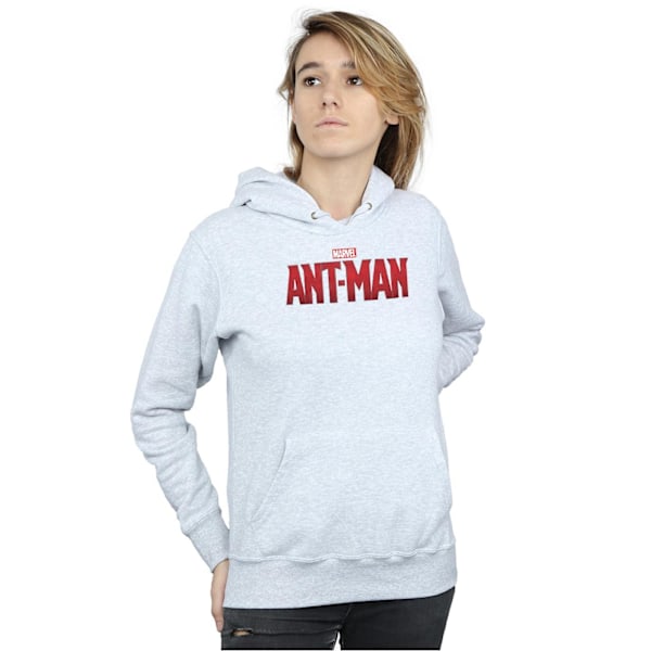 Marvel Dam/Kvinnor Ant-Man Filmlogotyp Hoodie L Heather Grey Heather Grey L