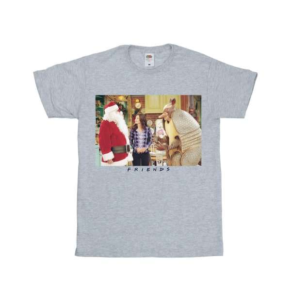 Friends Boys Christmas Armadillo T-Shirt 9-11 Years Sports Grey Sports Grey 9-11 Years