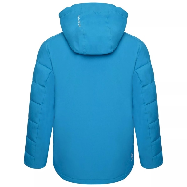 Dare 2B Childrens/Kids Cheerful II Ski Jacket 15-16 Years River River Blue/Fjord 15-16 Years