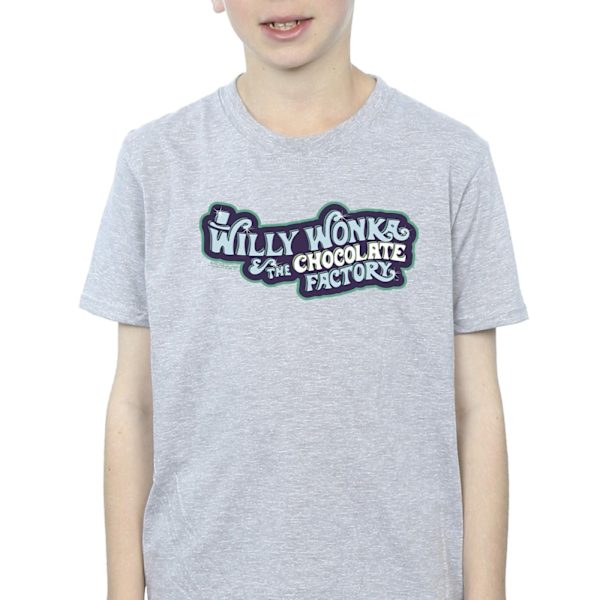 Willy Wonka Boys Chocolate Factory Logo T-Shirt 12-13 år Spo Sports Grey 12-13 Years