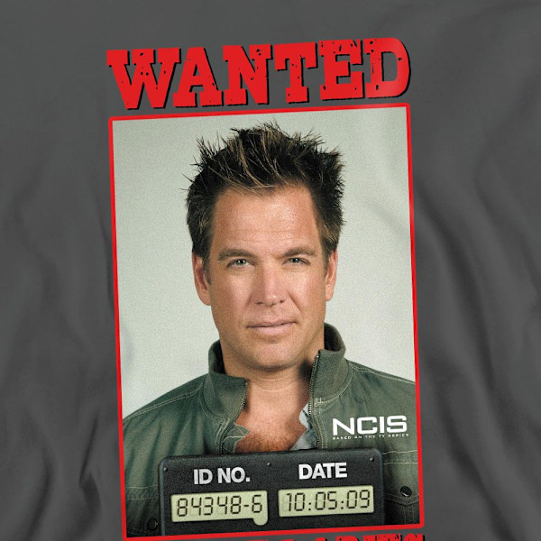 NCIS Unisex Vuxen Wanted Sweatshirt L Gråmelerad Charcoal L