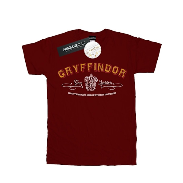 Harry Potter Dam/Kvinnor Gryffindor Team Quidditch Bomull Pojkvän Burgundy S