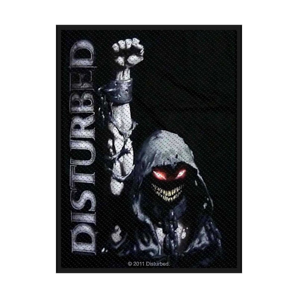 Disturbed Eyes Patch One Size Svart/Grå Black/Grey One Size