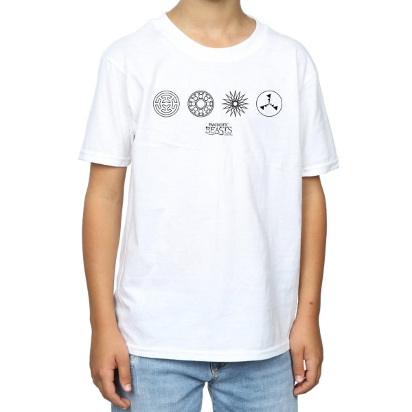 Fantastic Beasts Boys Circular Icons T-Shirt 12-13 Years White White 12-13 Years