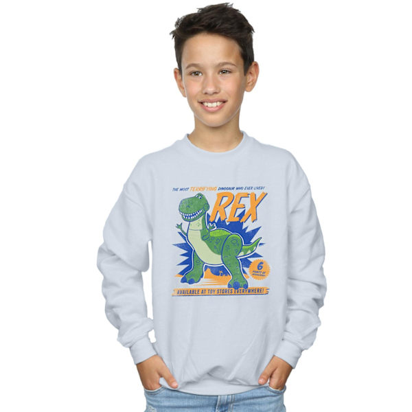 Disney Boys Toy Story 4 Rex Terrifying Dinosaur Sweatshirt 7-8 White 7-8 Years