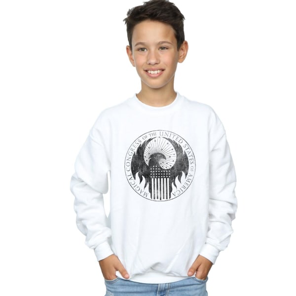 Fantastic Beasts Boys Distressed Magical Congress Sweatshirt 12 White 12-13 Years