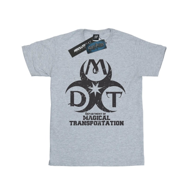 Harry Potter Boys Department of Magical Transportation Logotyp T-S Sports Grey 12-13 Years