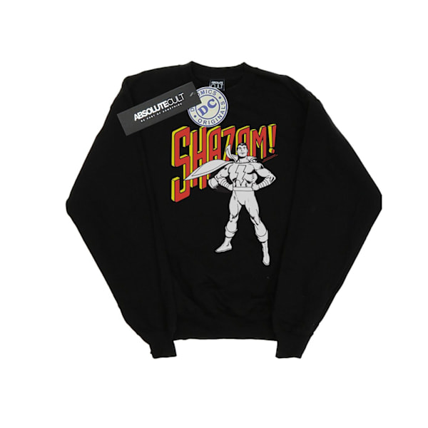 DC Comics Herr Shazam Mono Action Pose Sweatshirt XXL Svart Black XXL