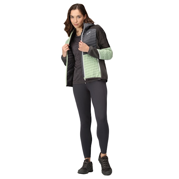 Regatta Dam/Kvinnor Trutton II Baffled Hooded Jacka 16 UK Qu Quiet Green/Seal Grey 16 UK