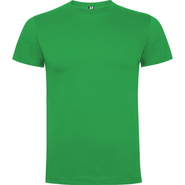 Roly Barn- & Flickor-T-shirt Dogo 5-6 År Irländsk Grön Irish Green 5-6 Years