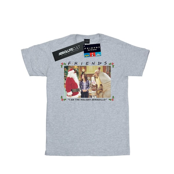 Friends Boys I Am The Holiday Armadillo T-Shirt 12-13 År Spo Sports Grey 12-13 Years