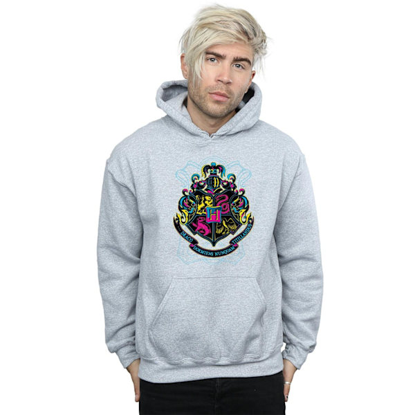 Harry Potter Neon Hogwarts Crest Hoodie L Sports Grey för män Sports Grey L