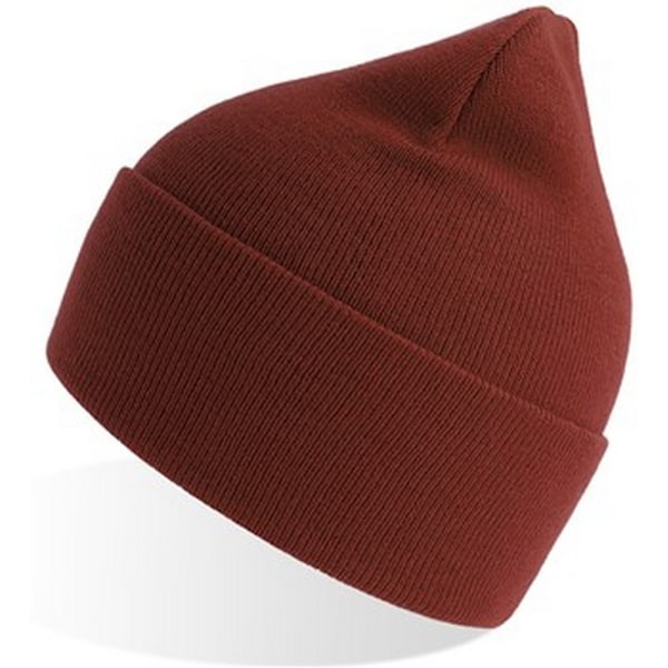 Atlantis Unisex Vuxen Ren Beanie i Återvunnet Material En Storlek Rost Rust One Size