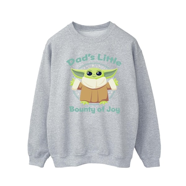 Star Wars The Mandalorian Bounty Of Joy Sweatshirt L Sport Sports Grey L