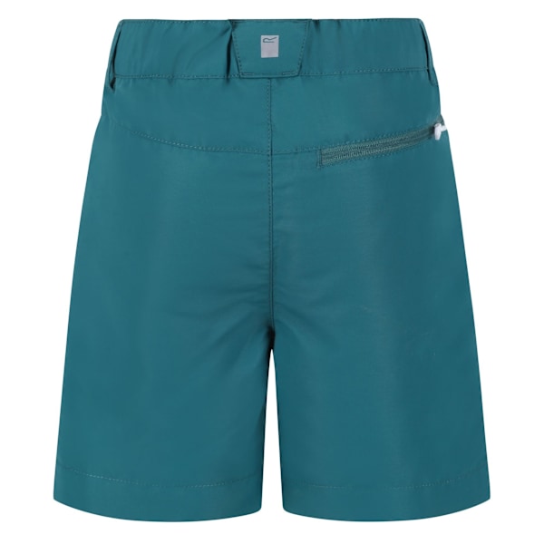 Regatta Sorcer II Bergshorts för barn 5-6 år Paci Pacific Green/Bright Kiwi 5-6 Years