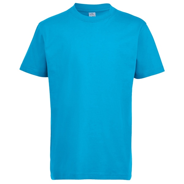 SOLS Barn Unisex Imperial Heavy Cotton Kortärmad T-shirt 10 år Aqua 10yrs