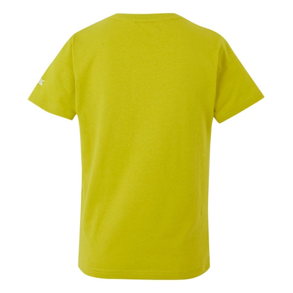 Regatta Barn/Barn Bosley VIII T-shirt med ö-tryck 7-8 år Grenoble Green 7-8 Years