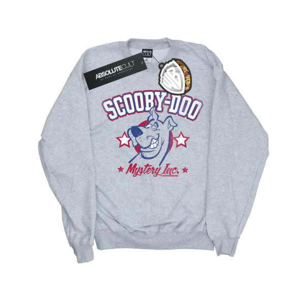 Scooby Doo Mens Collegiate Mystery Inc Sweatshirt L Sports Grey Sports Grey L