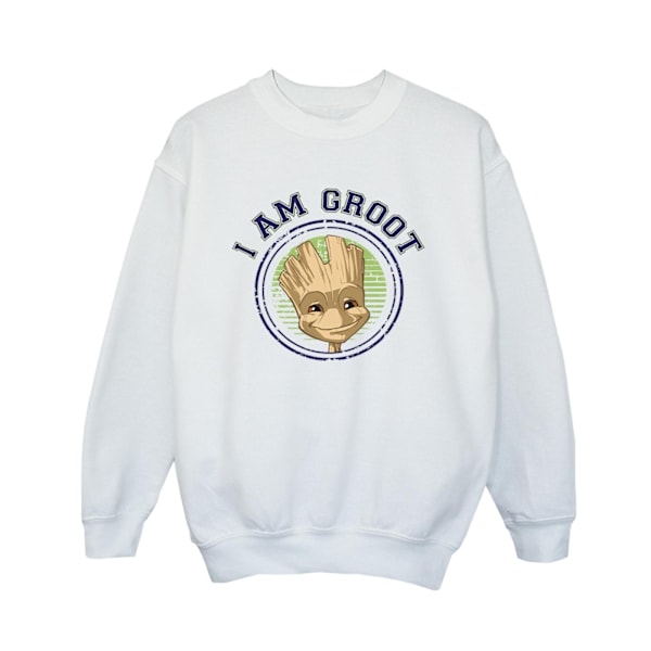 Guardians Of The Galaxy Boys Groot Varsity Sweatshirt 3-4 år White 3-4 Years