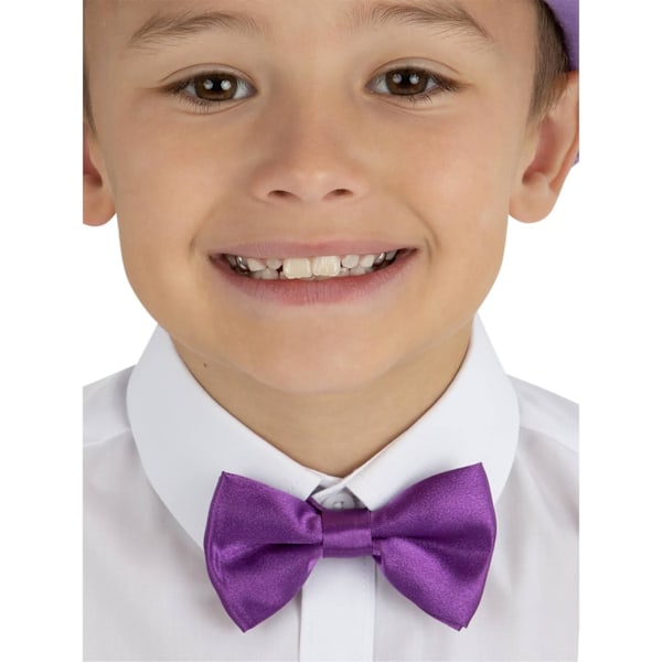 Smiffys Barn/Barn Plain Fluga One Size Lila Purple One Size