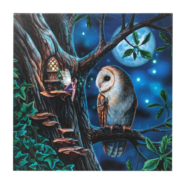 Lisa Parker Fairy Tales Light Up Canvas Inramad Plaque One Size Blue/Brown/Green One Size