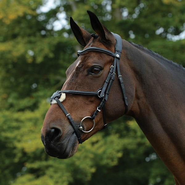 Collegiate Comfitec Grackle Läder Hästgrimma Cob Svart Black Cob
