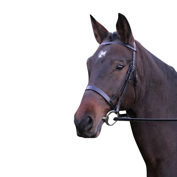 Hy Hunter Läder Träns med Gummi Grepp Tygel Full Svart Black Full