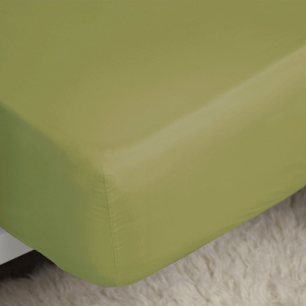 Belledorm Easycare Percale Dra-på-lakan Enkel Oliv Olive Single